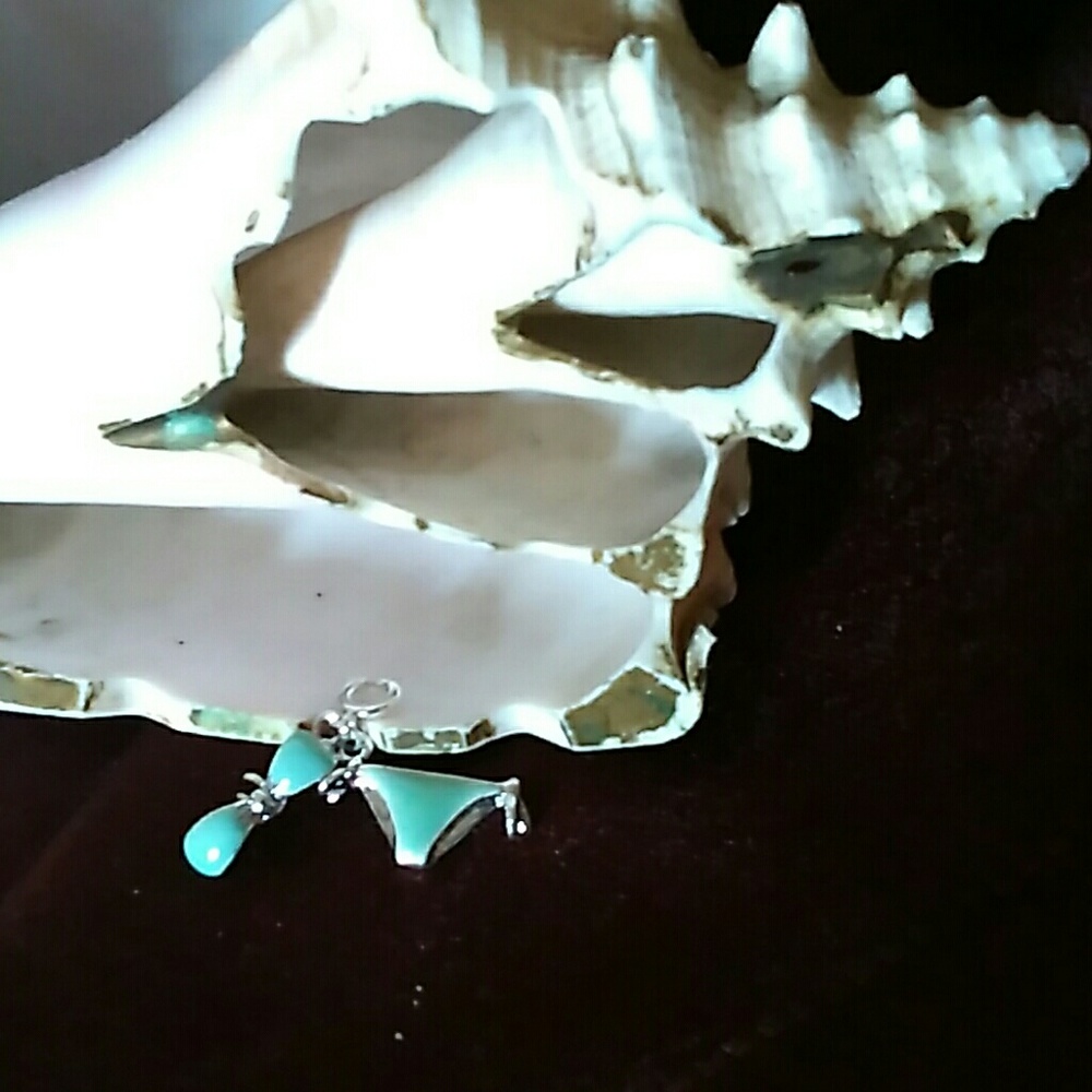 Bikini charms NWOT